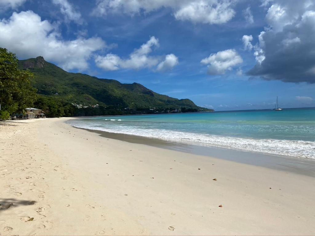 Beau Bamboo Apartment Vịnh Beau Vallon Ngoại thất bức ảnh